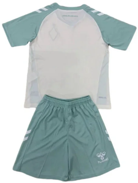 Trikot 2024 2025 - Sv Werder Bremen Trikot Kinder | trikotfussballshop