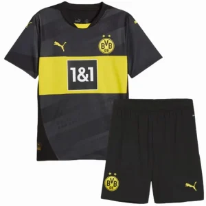 Borussia Dortmund Trikot 2024 2025 | trikotfussballshop