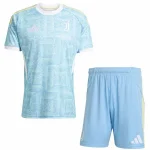 Juventus Trikot 2025 2026 | trikotfussballshop