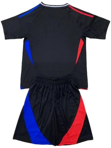 Lyon Trikot 2024 2025 - Trikot Lyon Jule Brand | trikotfussballshop