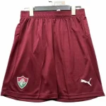 Fluminense Rio de Janeiro Trikot 2026 2027 - Fluminense Trikot 2025/2026 | trikotfussballshop