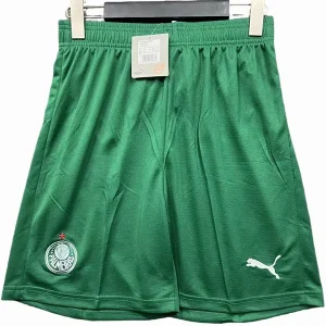 Palmeiras Trikot 2025 2026 | trikotfussballshop