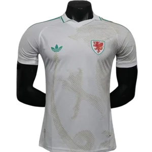 Wales Trikot 2026 | trikotfussballshop