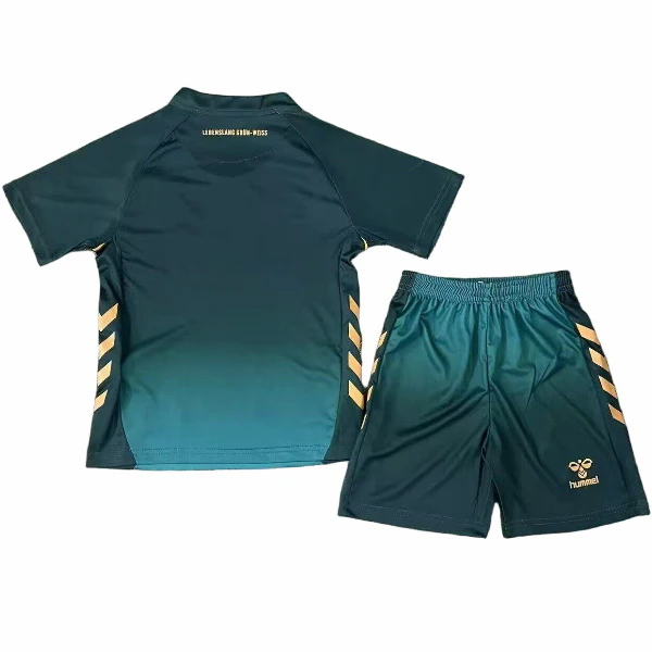 Trikot 2025 2026 - Sv Werder Bremen Trikot Kinder | trikotfussballshop