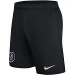 FC Chelsea Trikot 2025 2026 | trikotfussballshop