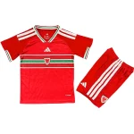 Trikot 2026 - Wales Kinder Trikot 2025 | trikotfussballshop