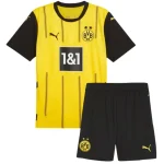 Borussia Dortmund Trikot 2024 2025 | trikotfussballshop