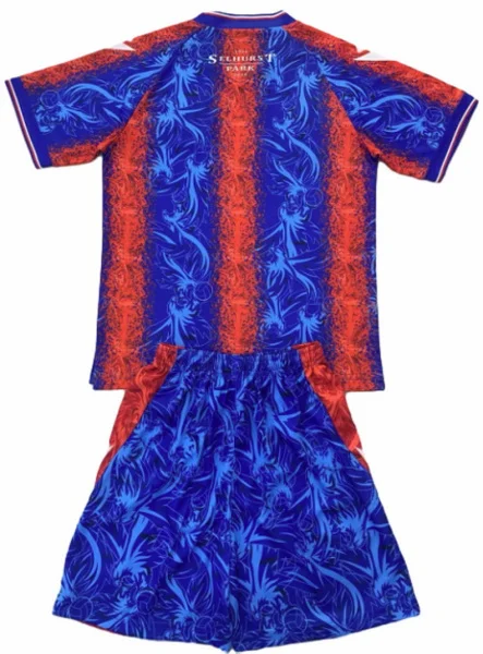 Crystal Palace Trikot 2024 2025 - Crystal Palace Trikot 2025/2026 | trikotfussballshop