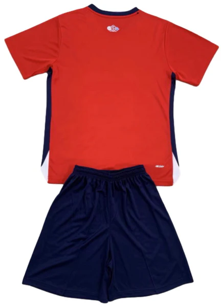 Trikot 2024 2025 - Osc Lille Trikot 25 26 | trikotfussballshop