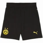 Borussia Dortmund Trikot 2024 2025 | trikotfussballshop