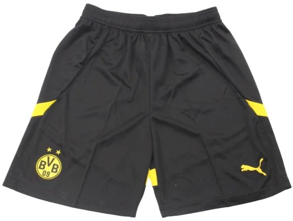 Borussia Dortmund Trikot 2024 2025 | trikotfussballshop