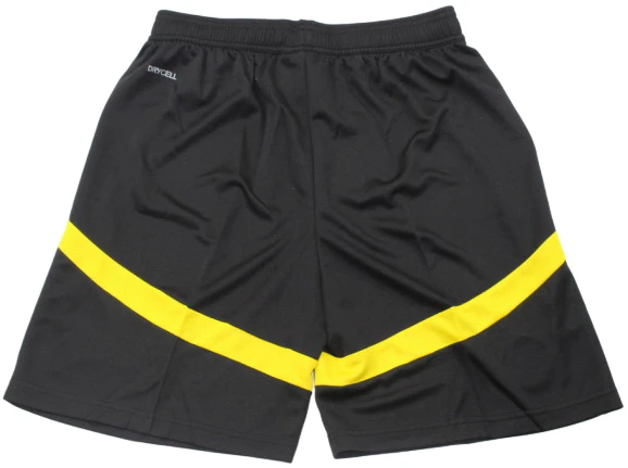Borussia Dortmund Trikot 2024 2025 | trikotfussballshop