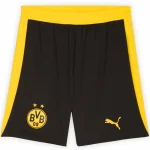 Borussia Dortmund Trikot 2025 2026 | trikotfussballshop
