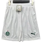 Palmeiras Trikot 2025 2026 | trikotfussballshop