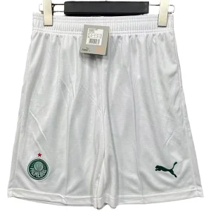 Palmeiras Trikot 2025 2026 | trikotfussballshop