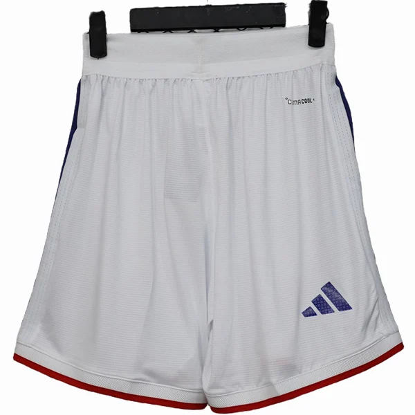 Japan Trikot 2026 | trikotfussballshop