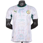 Senegal Trikot 2026 - Senegal Trikot 2025/26 | trikotfussballshop