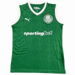 Palmeiras Trikot 2025 2026 | trikotfussballshop