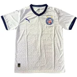 Trikot 2025 2026 - EC Bahia Trikot | trikotfussballshop