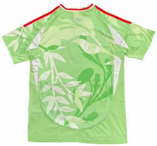 Italien Trikot 2025 - Trikot Italien 2026 | trikotfussballshop