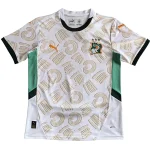 Ivory Coast Trikot 2025 - Elfenbeinküste Trikot 25/26 | trikotfussballshop