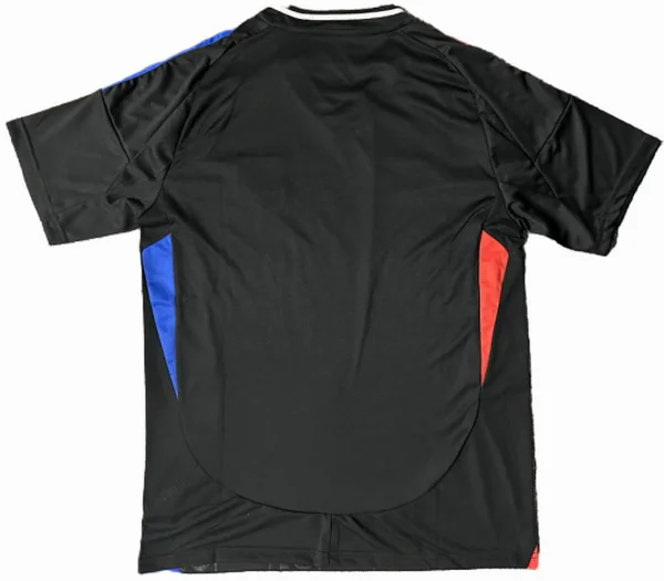 Lyon Trikot 2024 2025 - Trikot Lyon Jule Brand | trikotfussballshop