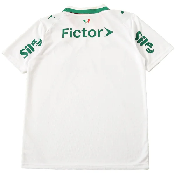 Palmeiras Trikot 2026 2027 | trikotfussballshop