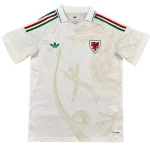Wales Trikot 2026 | trikotfussballshop