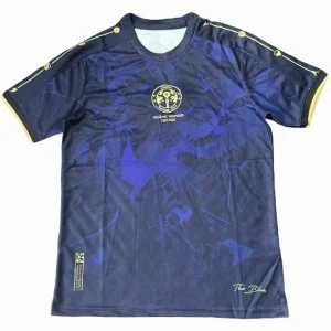 FC Chelsea Trikot 2025 2026 | trikotfussballshop