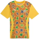 Ghana Trikot 2025 - Ghana Trikot 2026 | trikotfussballshop