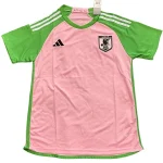 Japan Trikot 2026 | trikotfussballshop