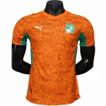 Ivory Coast Trikot 2026 - Elfenbeinküste Trikot 25/26 | trikotfussballshop