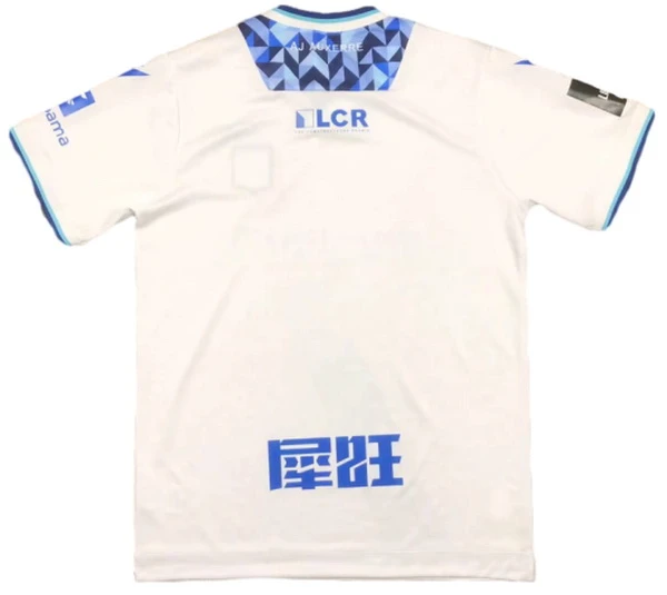 AJ Auxerre Trikot 2024 2025 - Aj Auxerre Trikot Playstation | trikotfussballshop