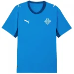 Island Trikot 2026 | trikotfussballshop