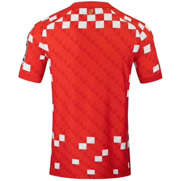 Mainz 05 Trikot 2024 2025 - Trikot Mainz 05 | trikotfussballshop