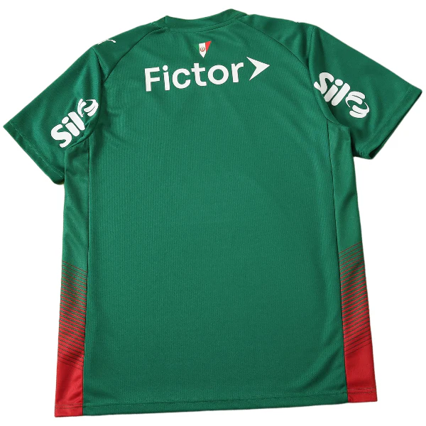 Palmeiras Trikot 2026 2027 | trikotfussballshop
