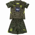 Borussia Dortmund Trikot 2024 2025 | trikotfussballshop
