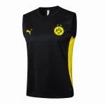 Trikot 2024 2025 - Borussia Dortmund Trikot Training | trikotfussballshop