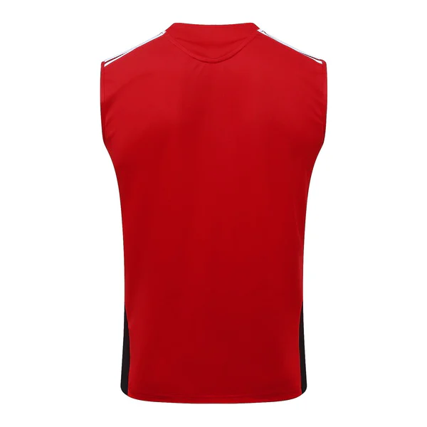 Trikot 2026 - DFB Trainingstrikot 25/26 | trikotfussballshop