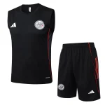 Trikot 2025 2026 | trikotfussballshop