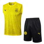Trikot 2024 2025 - Borussia Dortmund Trikot Training | trikotfussballshop