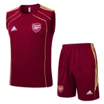 Trikot 2025 2026 - Fc Arsenal Training | trikotfussballshop
