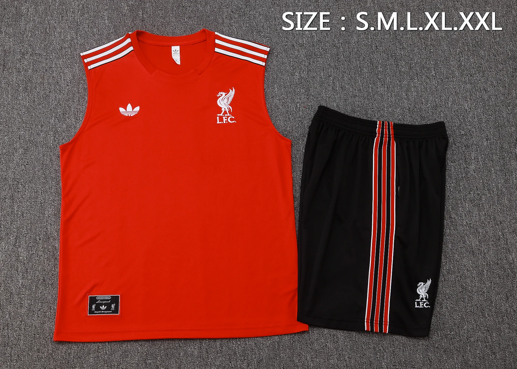Trikot 2025 2026 - FC Liverpool Trainingsshirt | trikotfussballshop