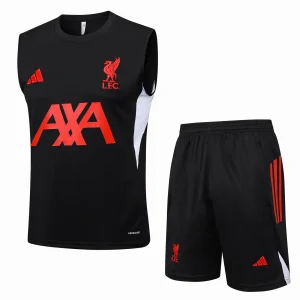 Trikot 2025 2026 - FC Liverpool Trainingsshirt | trikotfussballshop