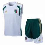 Trikot 2026 - Italien Trainingsshirt Herren 2025 | trikotfussballshop