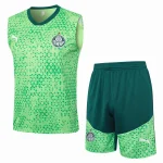 Trikot 2025 2026 - Palmeiras Trikot Training | trikotfussballshop