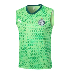 Trikot 2025 2026 - Palmeiras Trikot Training | trikotfussballshop
