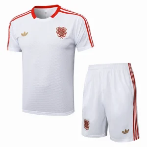 Trikot 2025 2026 - FC Bayern Trainingstrikot 25/26 | trikotfussballshop