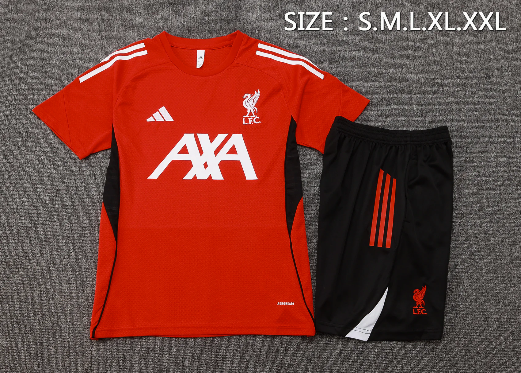 Trikot 2025 2026 - FC Liverpool Trainingsshirt | trikotfussballshop