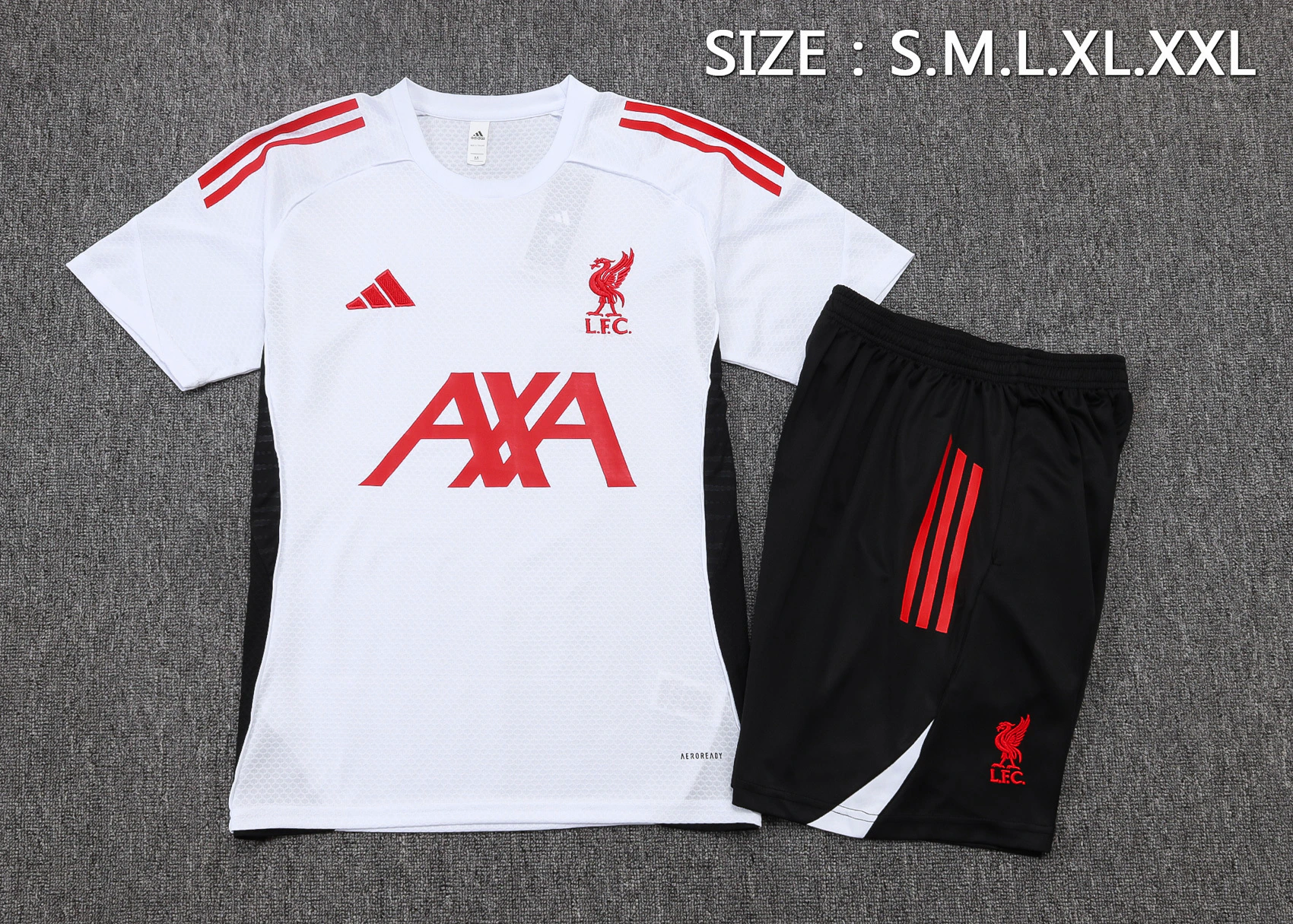 Trikot 2025 2026 - FC Liverpool Trainingsshirt | trikotfussballshop